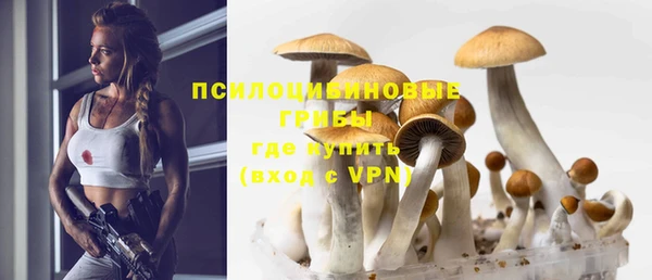 прущая мука Белокуриха