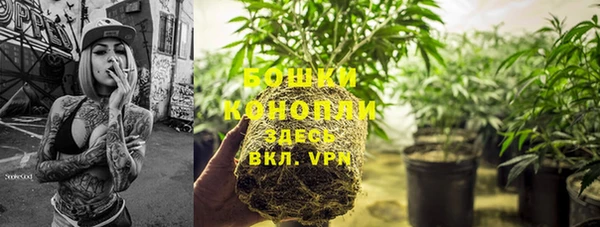 тгк Балабаново