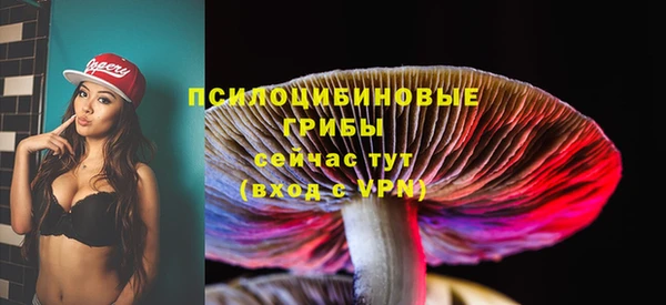 прущая мука Белокуриха