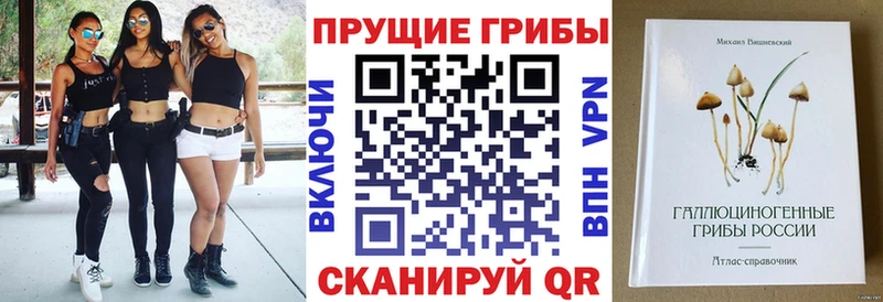 Галлюциногенные грибы MAGIC MUSHROOMS  darknet наркотические препараты  Нижний Ломов  МЕГА ссылка 